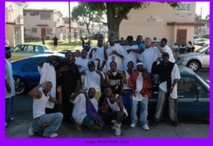 Grape Street Watts Crips