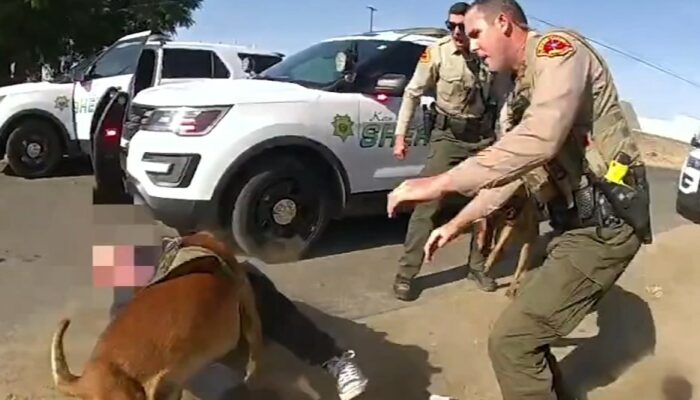 Kern County Sheriff's Deputy siccing dog on man 2
