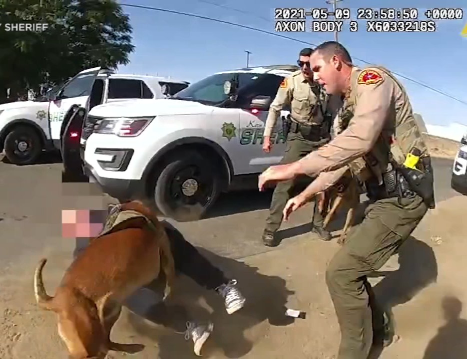 Kern County Sheriff's Deputy siccing dog on man 2