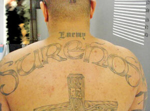 Surrenos gang member