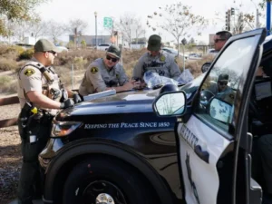 Detectives with the Vista Sheriff’s Station arrested 11 individuals suspected to be involved with dealing narcotics in Vista last month. Courtesy photo Sheriff's Office
