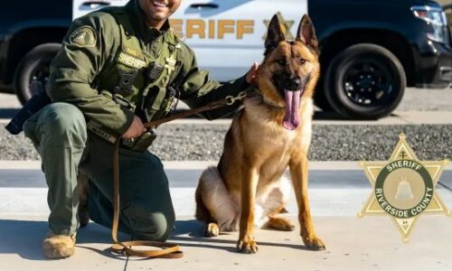 RCSD canine with handler 5