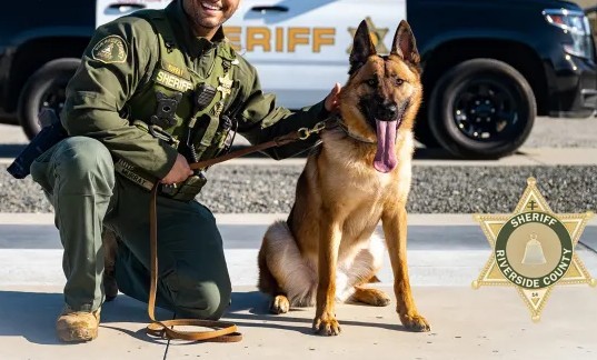 RCSD canine with handler 5