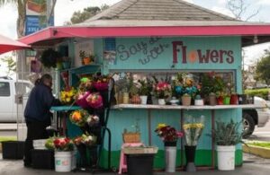 Linda Vista, San Diego CA flower cart 2